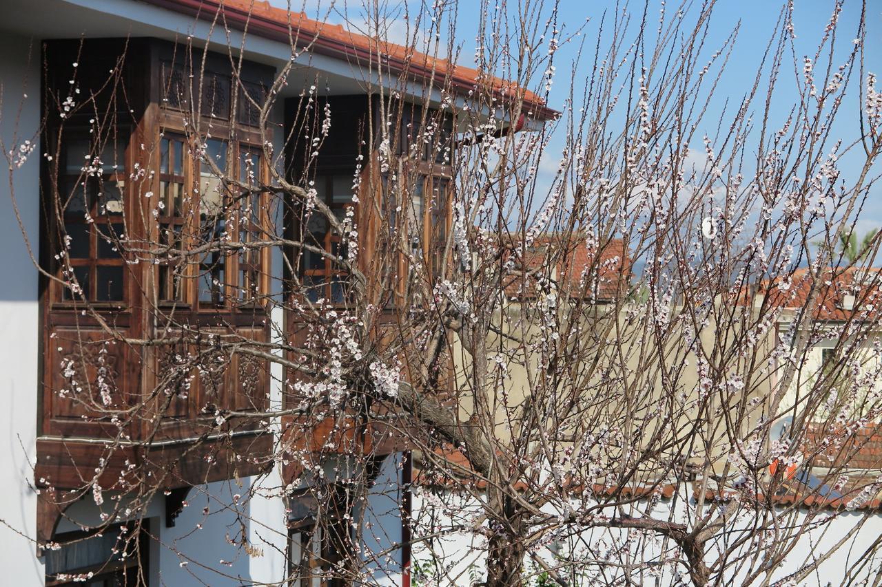 Ephesus Paradise Hotel Селчук Екстериор снимка