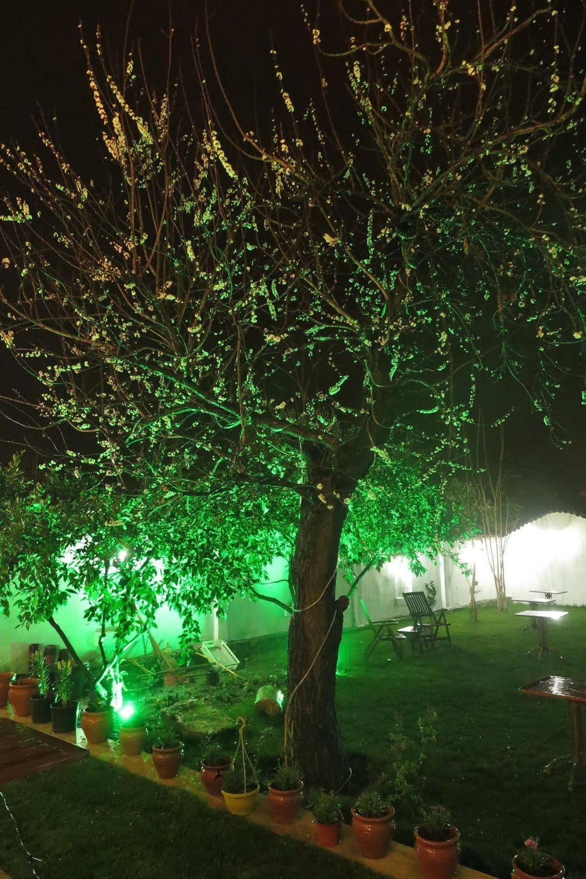Ephesus Paradise Hotel Селчук Екстериор снимка