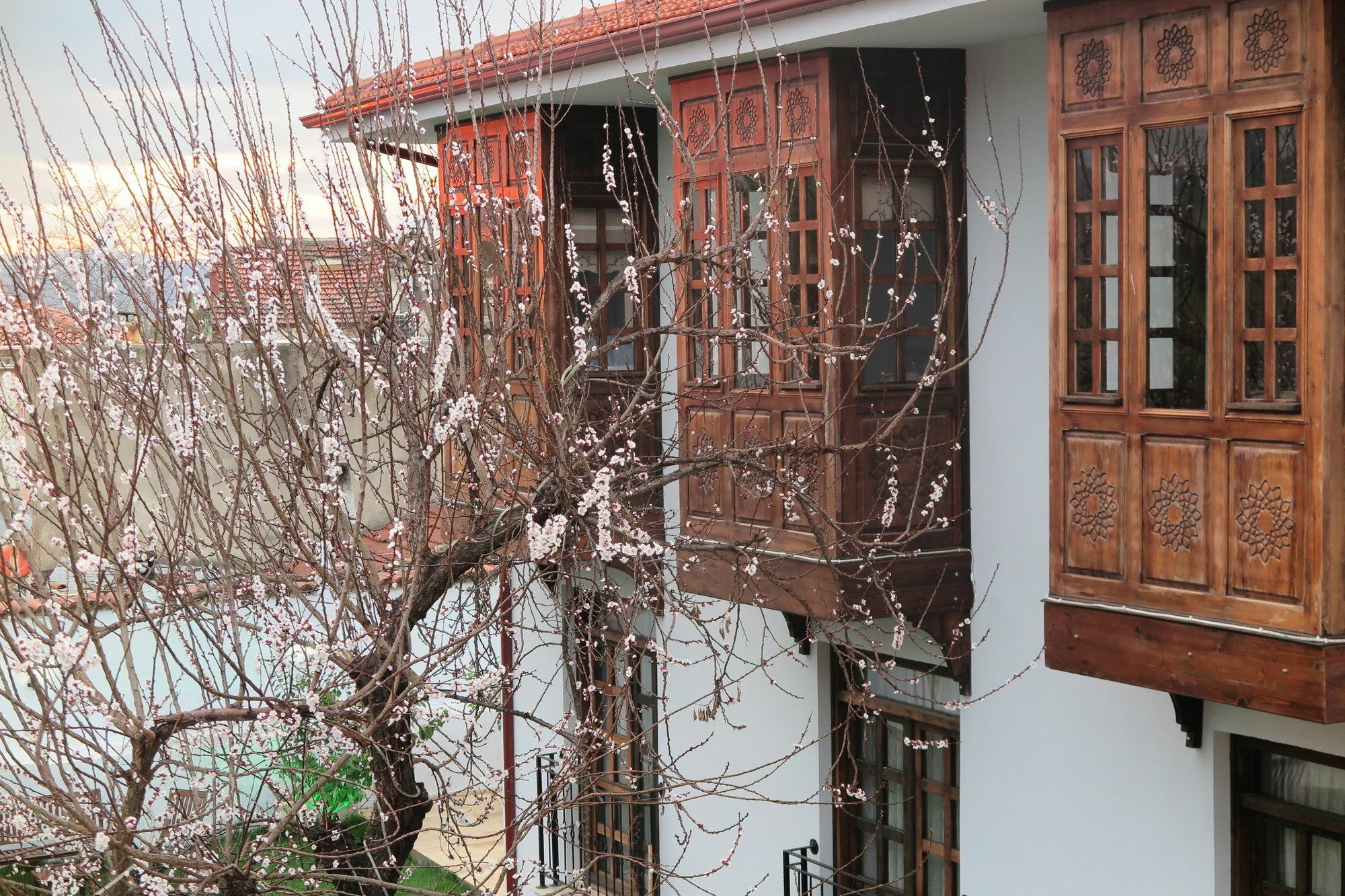 Ephesus Paradise Hotel Селчук Екстериор снимка